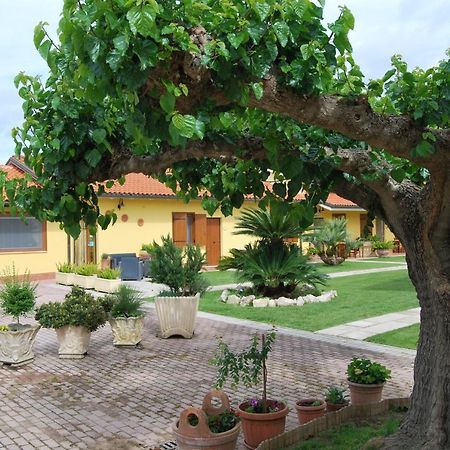 보르고 몬테네로 Le Terre Di Bac B&B 외부 사진