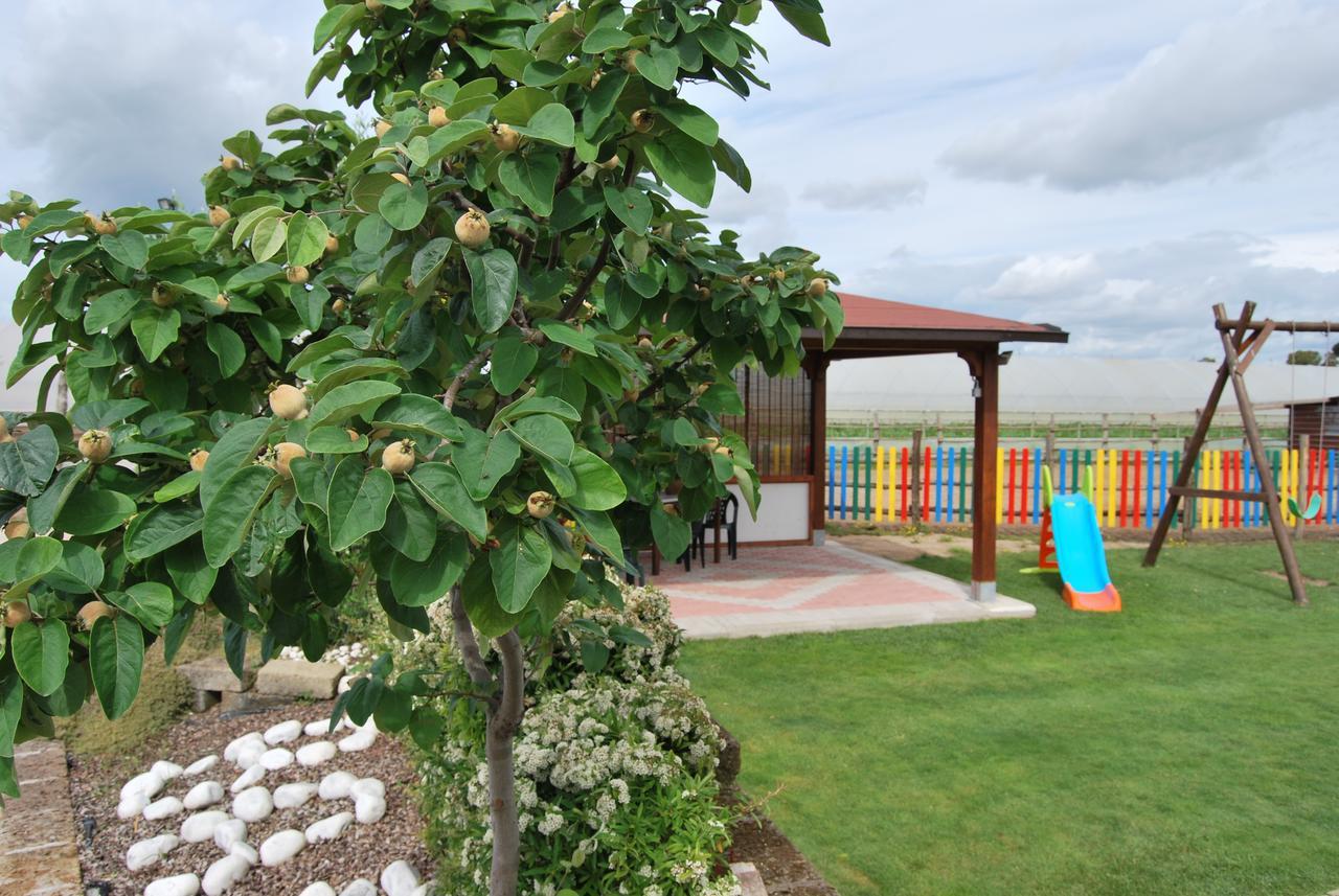 보르고 몬테네로 Le Terre Di Bac B&B 외부 사진
